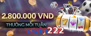 cwin222