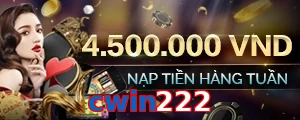 cwin222