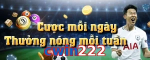 cwin222